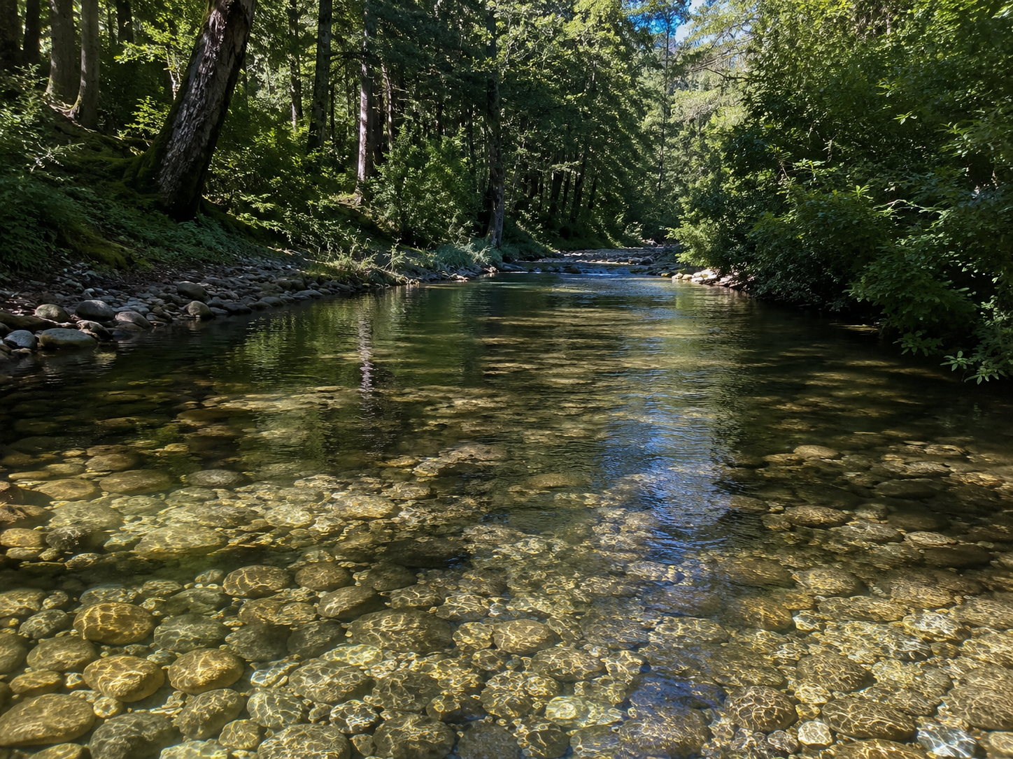 Wild Habitat Management